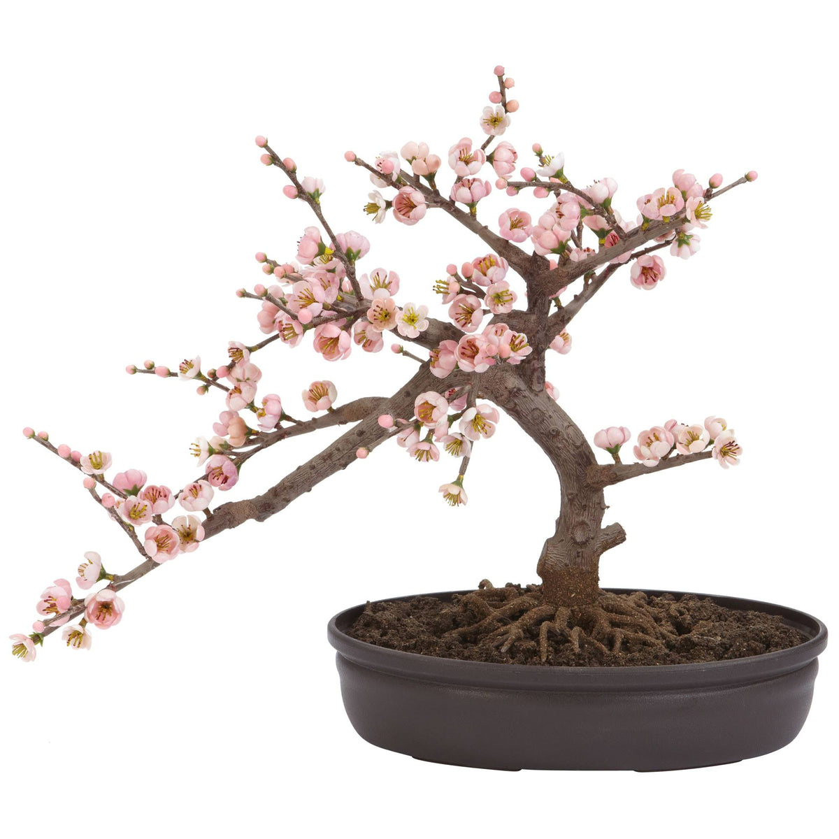 Cherry Blossom Bonsai Silk Tree A832371