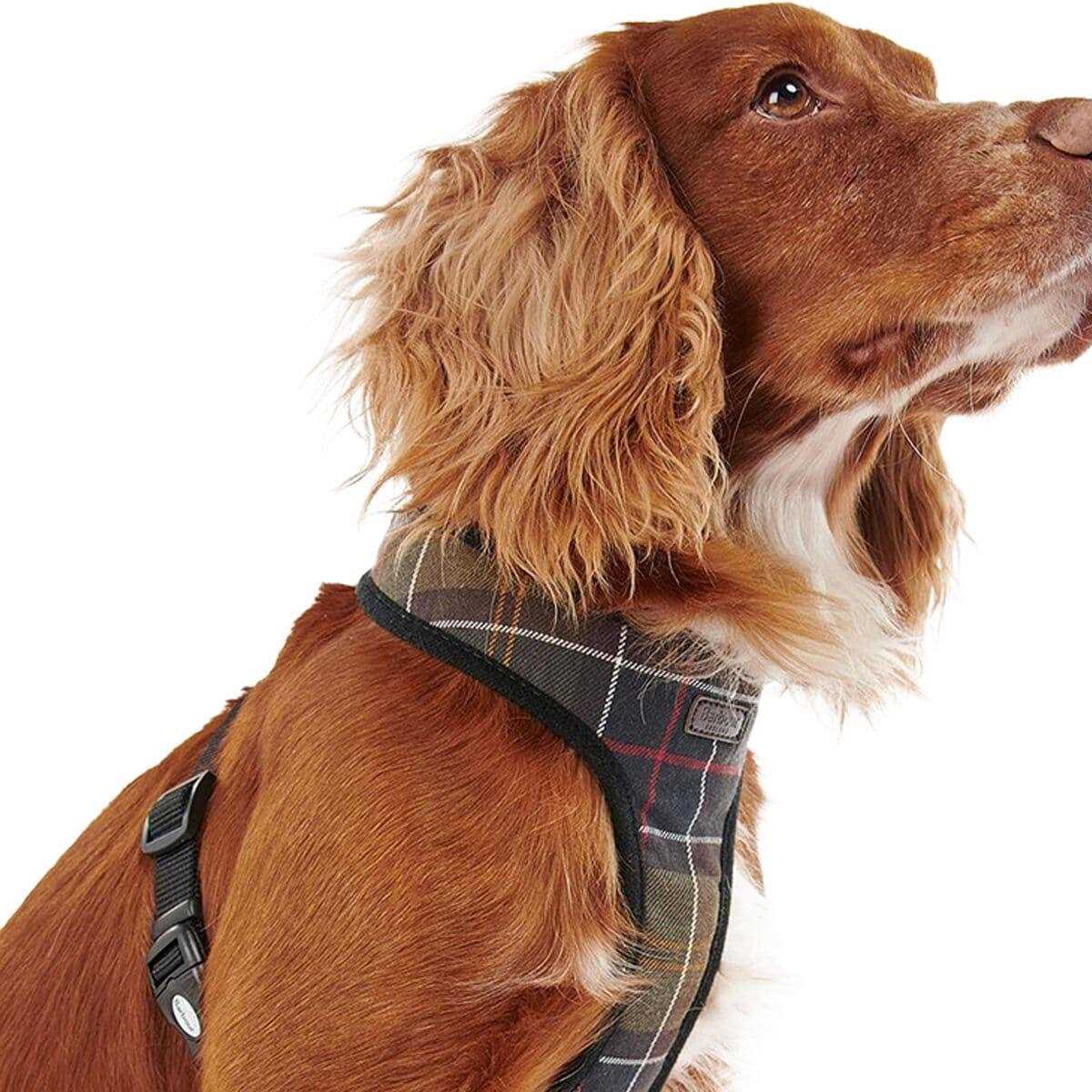 Tartan Dog Harness K3034