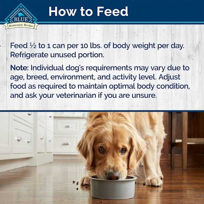 Turkey Meatloaf Dinner Wet Dog Food X200411