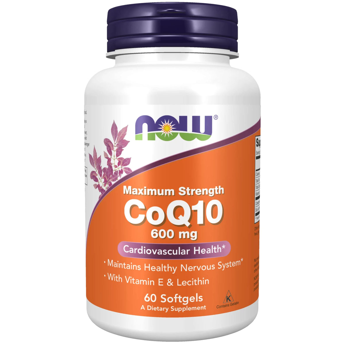 Coq10 600 Mg With Vitamin E & Lecithin, 60 Softgels G407