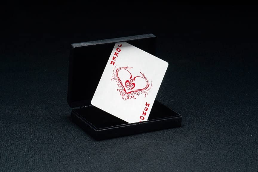 Professional Magic Kit with Magic Wand D17829