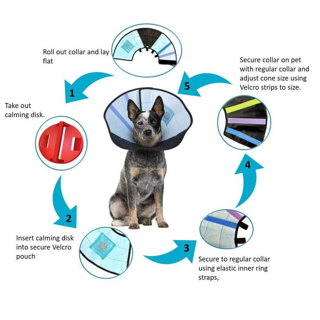 Dog Calming Collar J448441