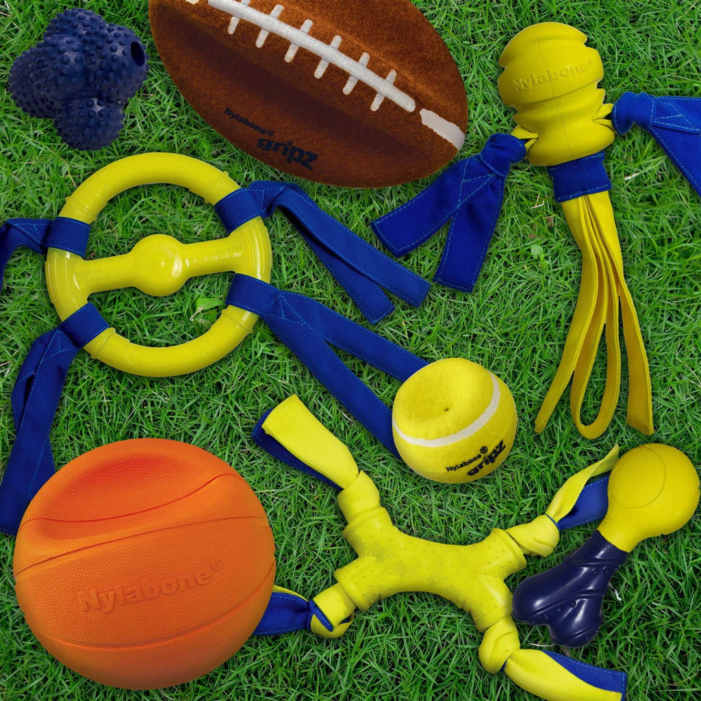 Dog Toy P1050