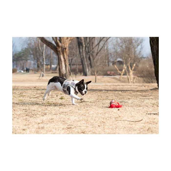 Pet Harness Q387409