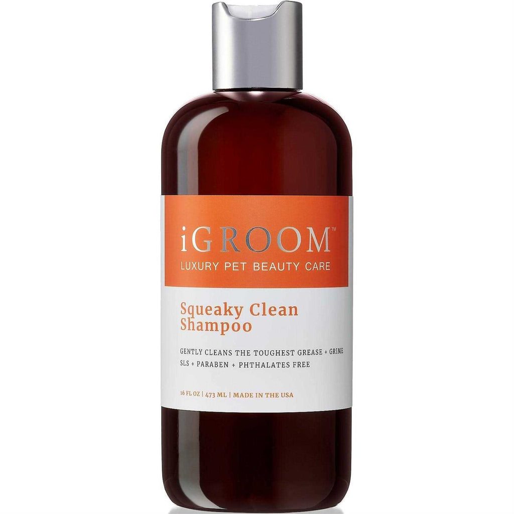 Squeaky Clean Shampoo I167678