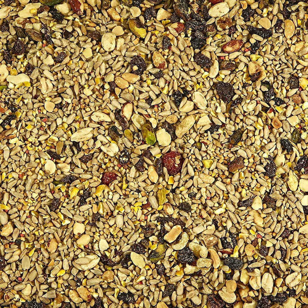 Nut & Fruit Blend Wild Bird Food P38118
