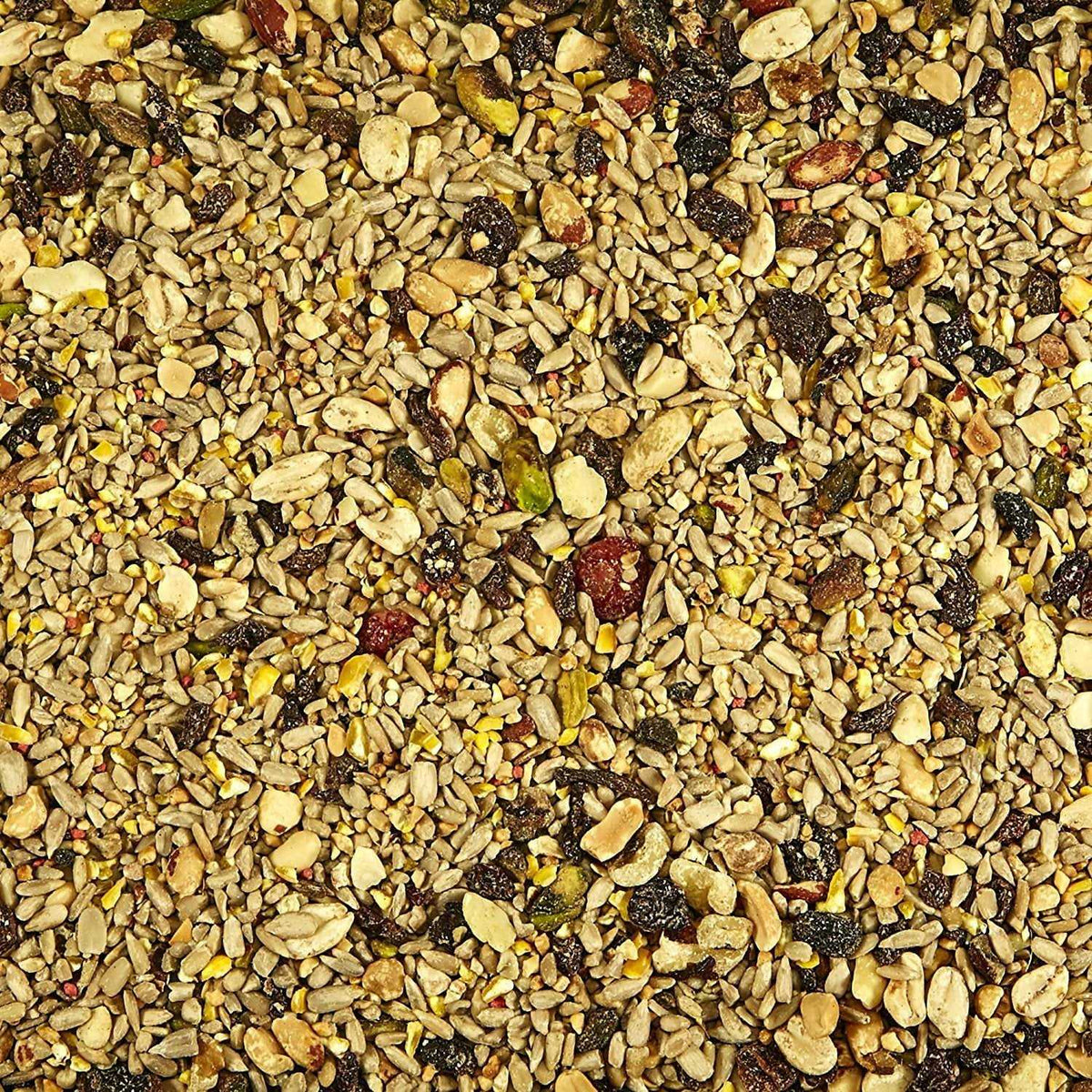 Nut & Fruit Blend Wild Bird Food P38118