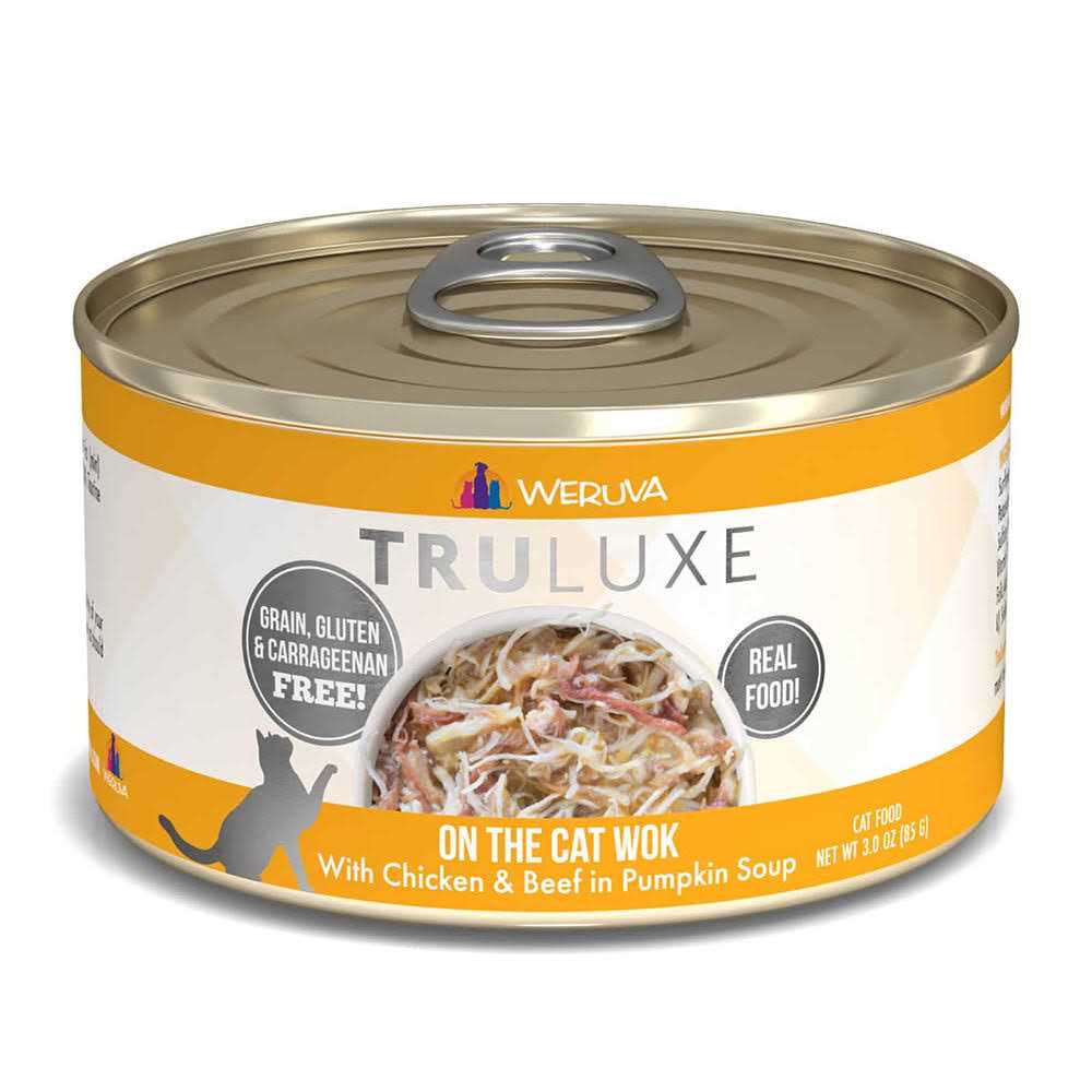Beef & Pumpkin Canned Cat Food V891