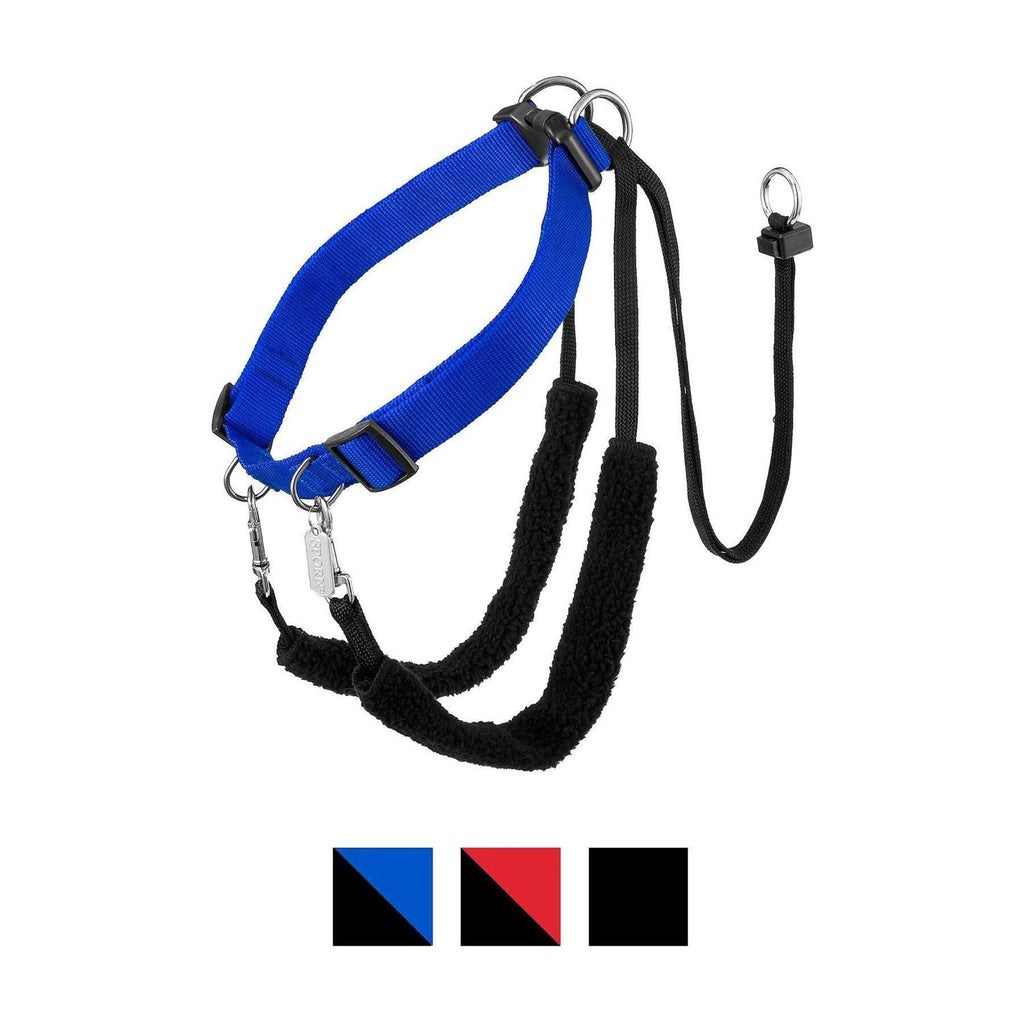 Training Halter H1351