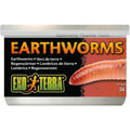 Canned Earthworms Reptile Food D94696