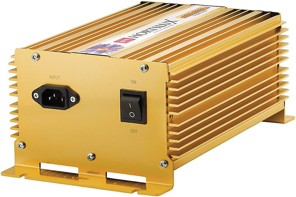 1000W Digital Ballast W1199