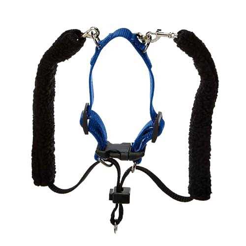 Training Halter H1351