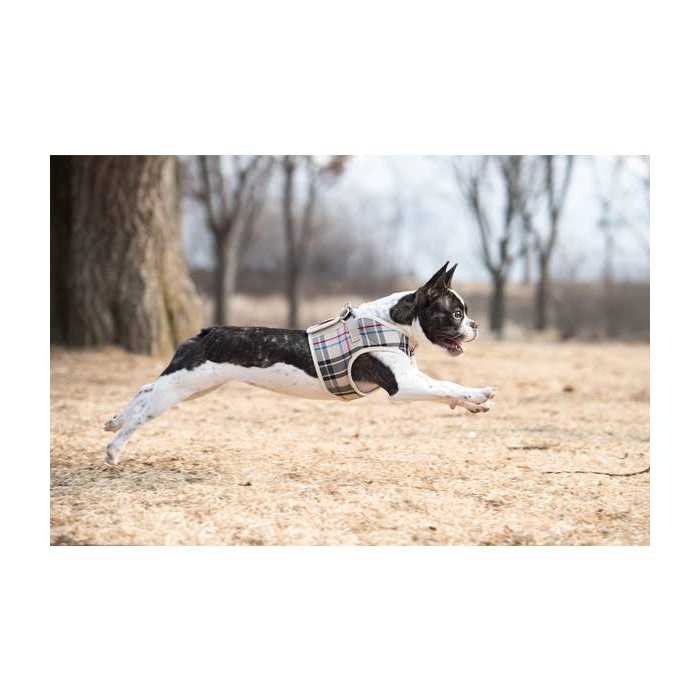 Pet Harness Q387409