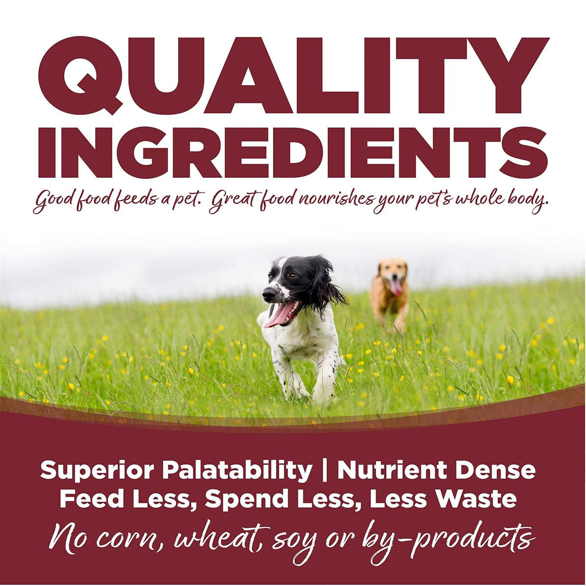 Beef Rice Dry Dog Food Q131
