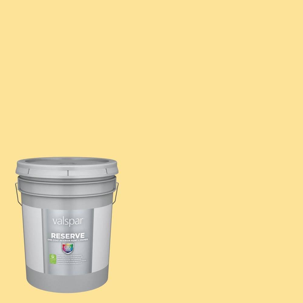 Interior Paint (5-Gallon) Z722
