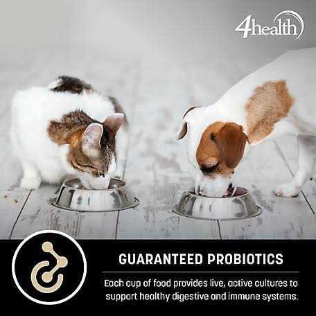Sensitive Skin Formula Dry Dog Food A704