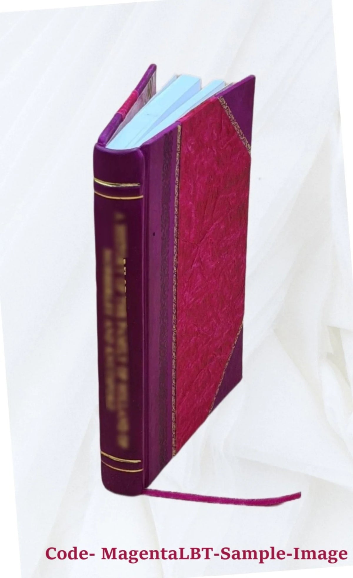 1919 Seed Catalogue Leather Bound E660065