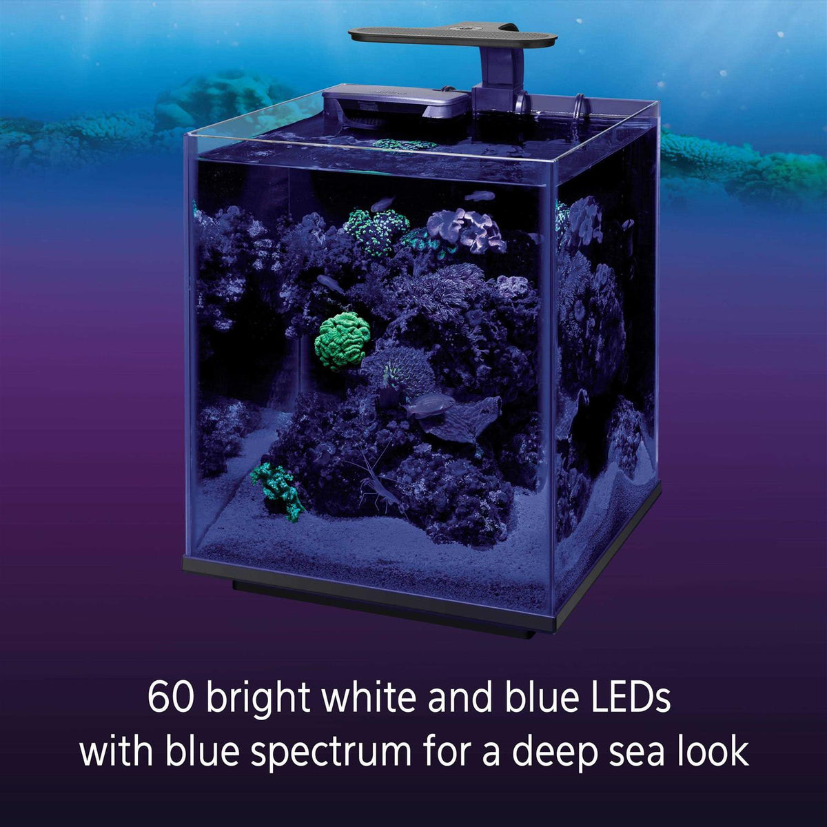 LED Marine Aquarium Clip On Light V62211