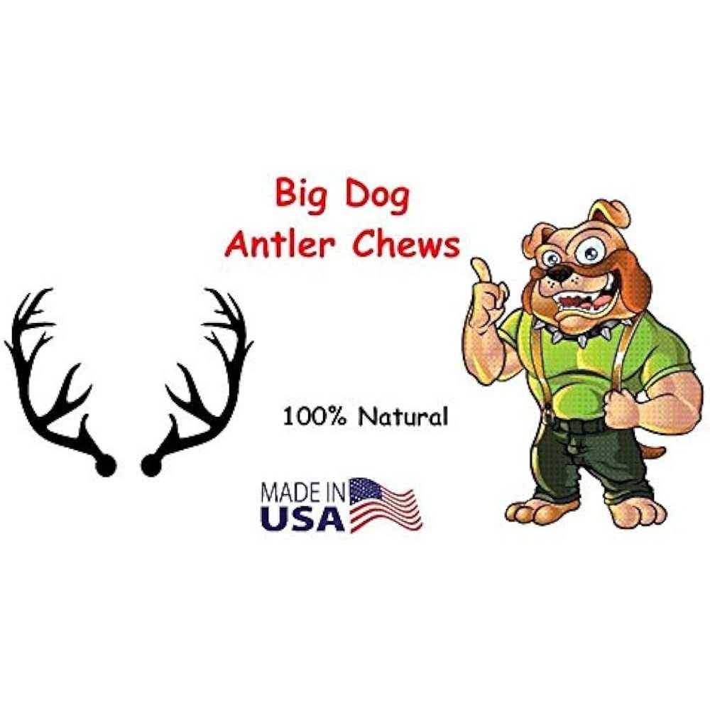 Whitetail Deer Antler Dog Chew Medium 8 to 13 Inches I784361