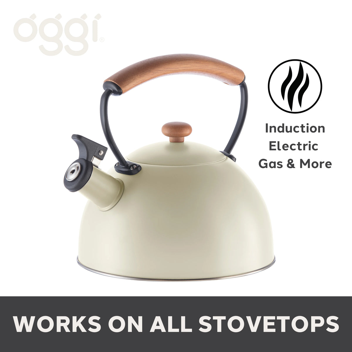 2.5 lt Whistling Tea Kettle U7178
