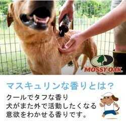 Odor Dog Shampoo F280