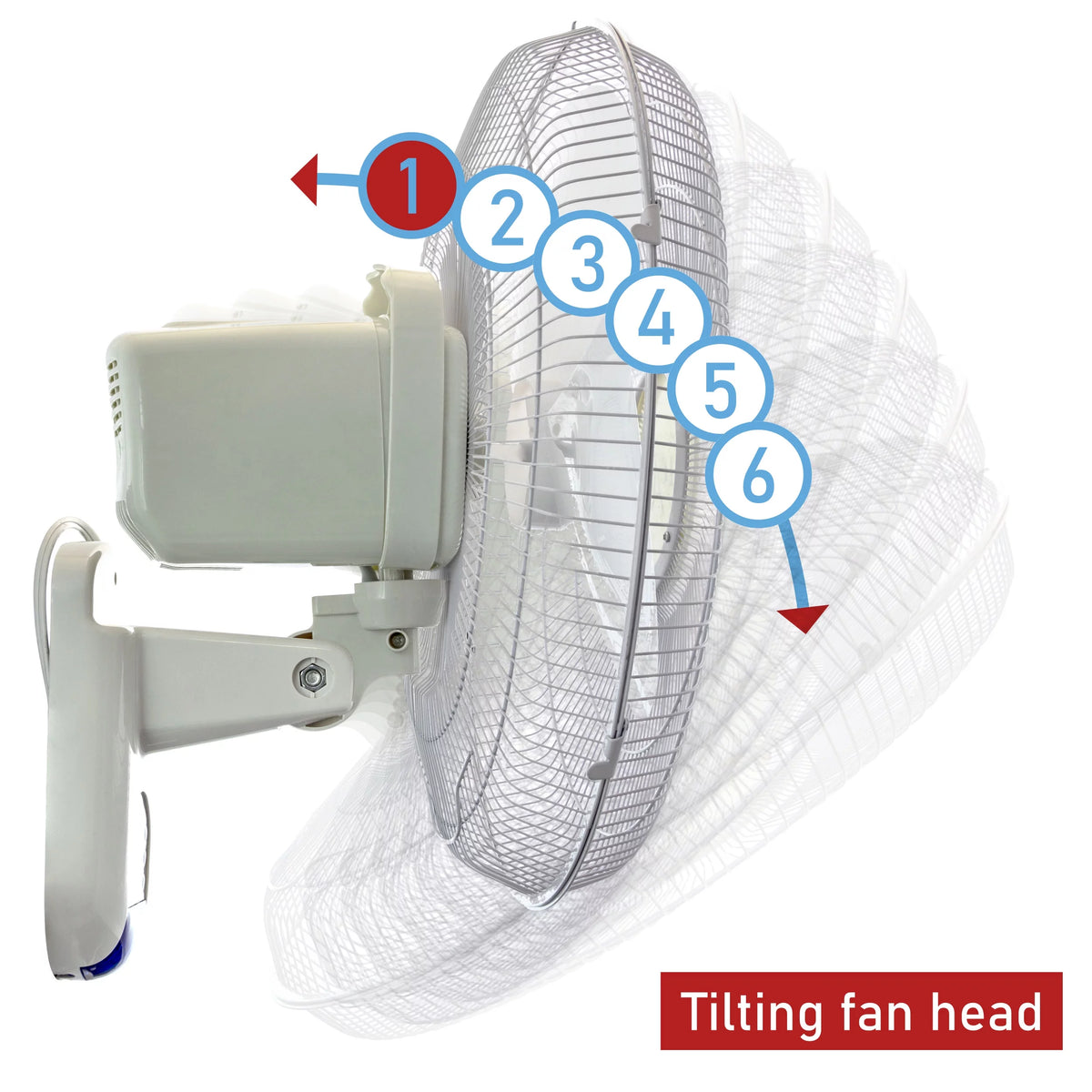 16 Pedestal Wall Fan White Z28667