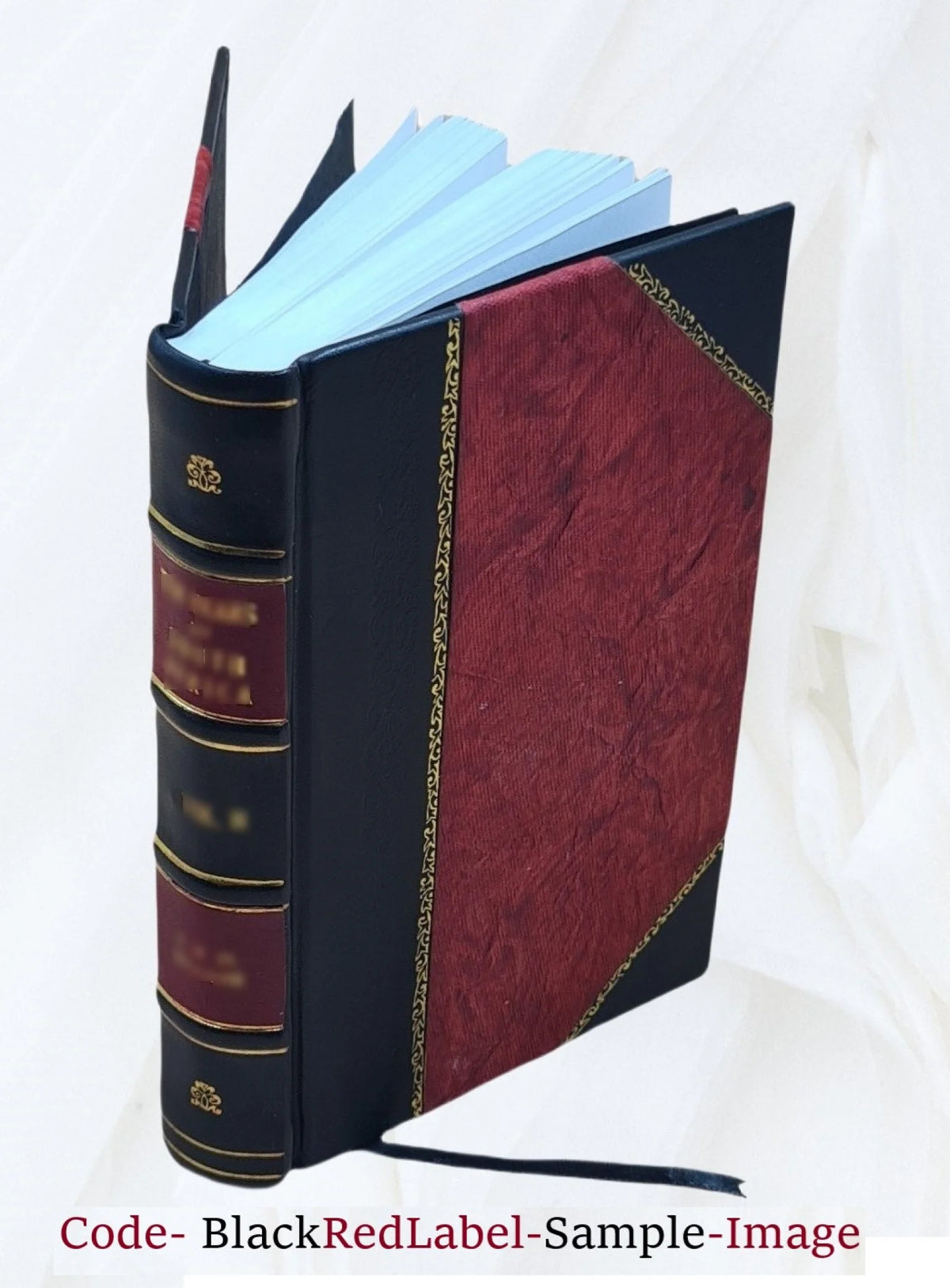 Germany, the next republic? By Carl W. Ackerman. 1917 [Leather Bound] Q97953