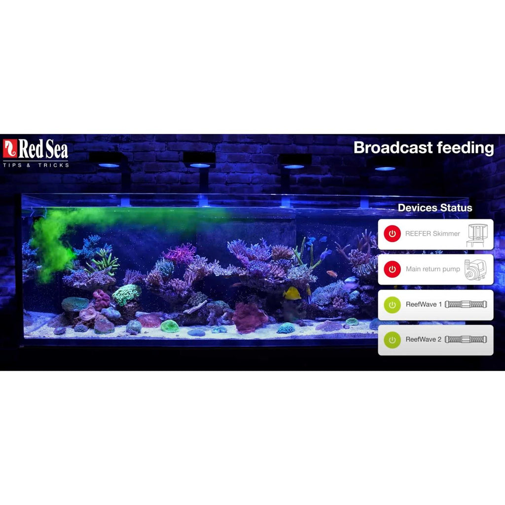 Reef Energy AB+ Plus Coral Nutrition M16845