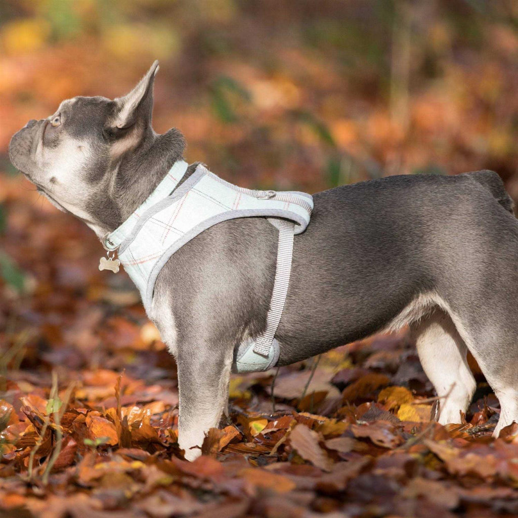 Tweed Dog Harness Vest D585