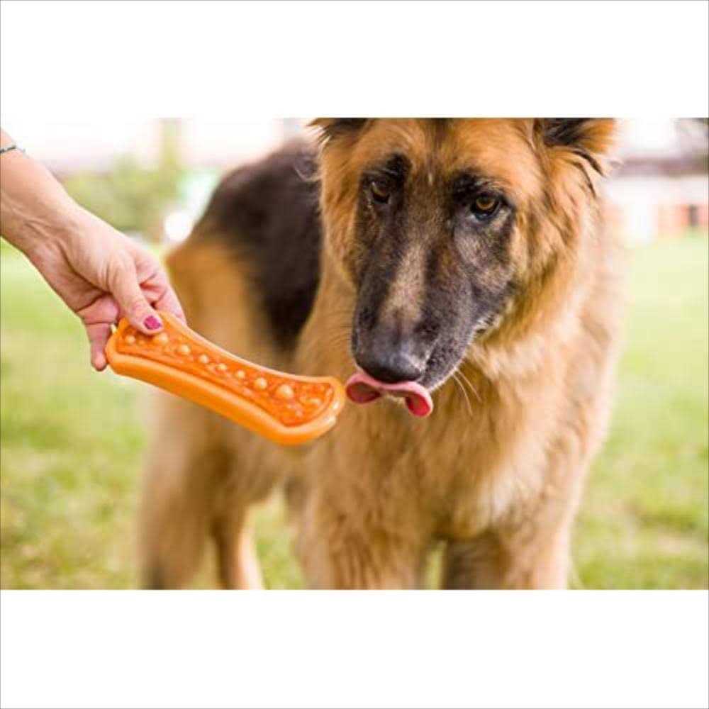 Chew 'n Clean Dental Duo Dog Toy Q7424