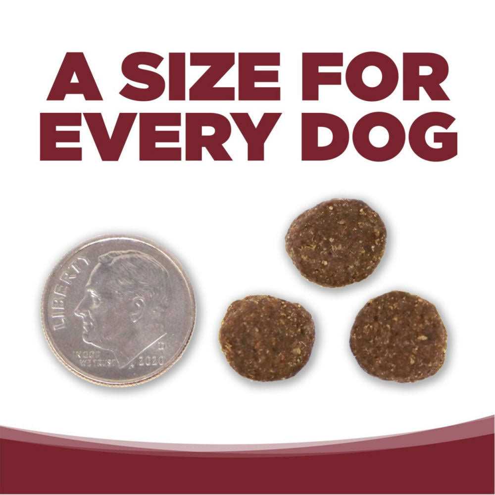 Beef Rice Dry Dog Food Q131