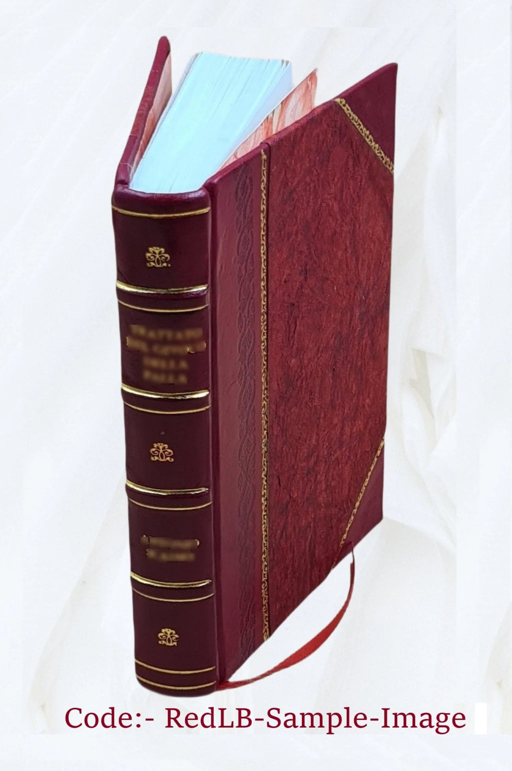 Germany, the next republic? By Carl W. Ackerman. 1917 [Leather Bound] Q97953